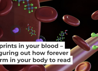 Figuring out which PFAS types are accumulating in your body is challenging. Love Employee/iStock via Getty Images Plus